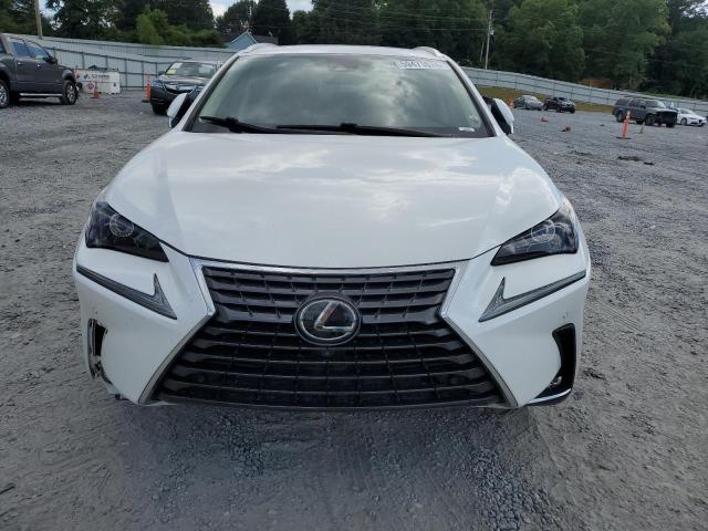 JTJGARBZ7M5030551 - 2021 LEXUS NX 300 BASE თეთრი ფოტო 5