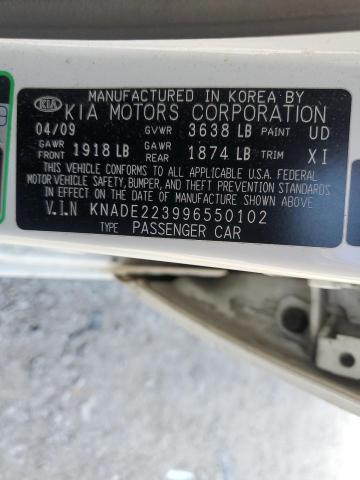 KNADE223996550102 - 2009 KIA RIO BASE WHITE photo 12