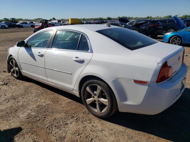1G1ZC5EU5BF245229 - 2011 CHEVROLET MALIBU 1LT 白色 照片 2
