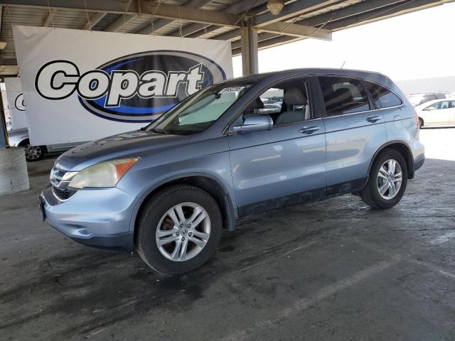 2010 HONDA CR-V EXL, null