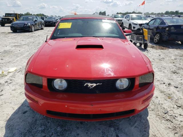 1ZVHT85H365243656 - 2006 FORD MUSTANG GT RED photo 5