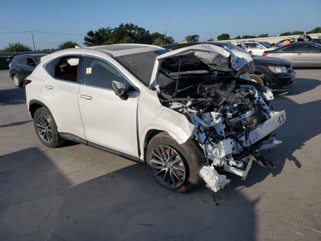 2T2GGCEZ6NC009667 - 2022 LEXUS NX 350 WHITE photo 4