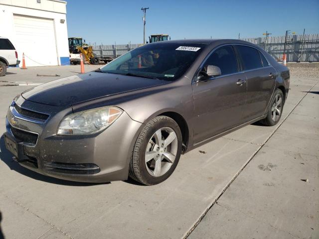 1G1ZC5E14BF372916 - 2011 CHEVROLET MALIBU 1LT 灰色 照片 1