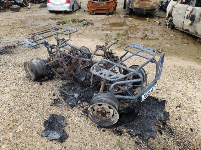 1HFTE4622H4201052 - 2017 HONDA TRX500 FA BURN photo 1