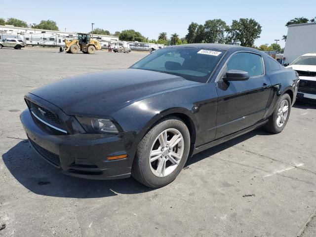2013 FORD MUSTANG, null