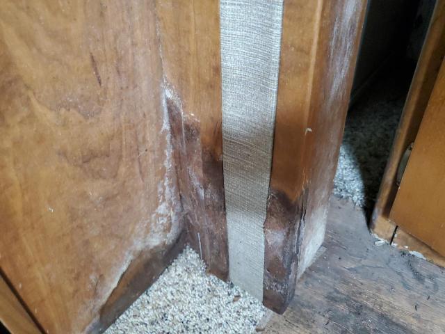 4YDT31823ET411931 - 2014 PASSPORT TRL İki rəngli foto 10