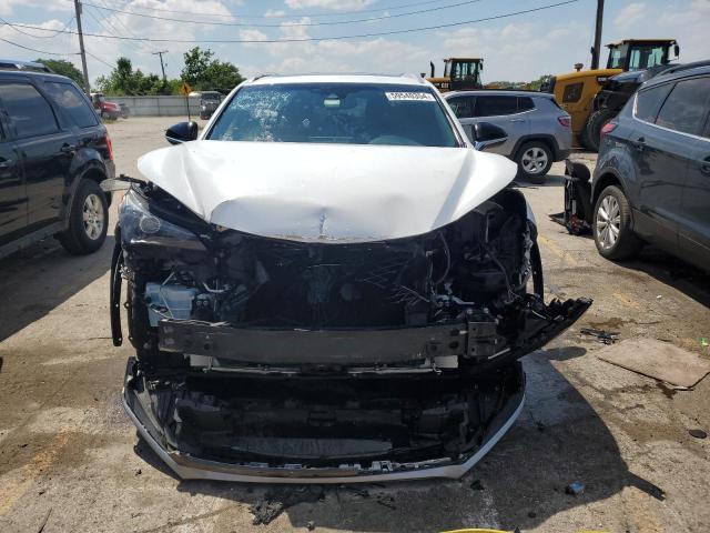 JTJBARBZ0K2213587 - 2019 LEXUS NX 300 BASE Ağ foto 5