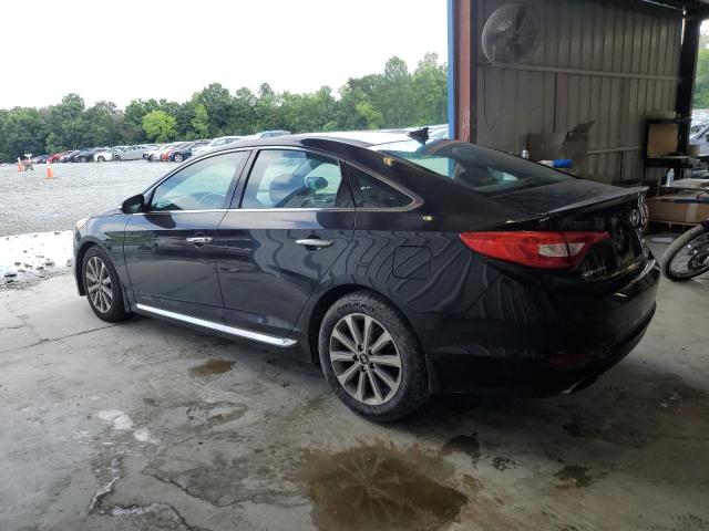 5NPE34AF0GH311903 - 2016 HYUNDAI SONATA SPORT შავი ფოტო 2