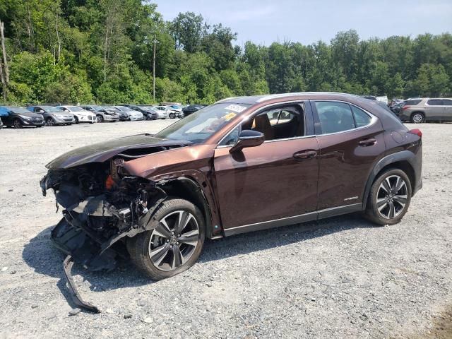 JTHP9JBH9L2021577 - 2020 LEXUS UX 250H BROWN photo 1