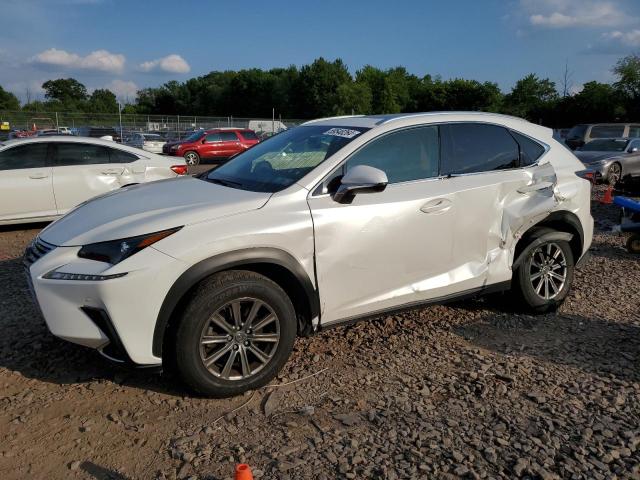 JTJYARBZ7K2154046 - 2019 LEXUS NX 300 BASE Ağ foto 1