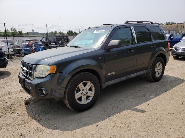 2008 FORD ESCAPE HEV, null
