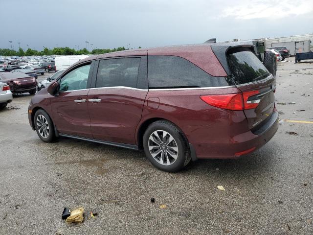 5FNRL6H78MB003061 - 2021 HONDA ODYSSEY EXL BURGUNDY photo 2