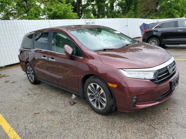 5FNRL6H78MB003061 - 2021 HONDA ODYSSEY EXL BURGUNDY photo 4