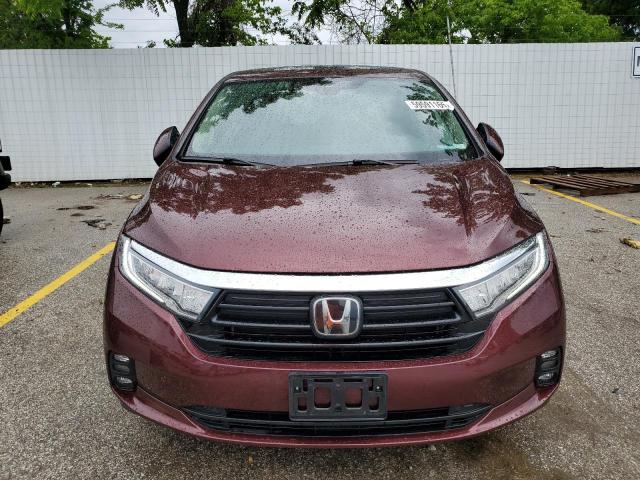 5FNRL6H78MB003061 - 2021 HONDA ODYSSEY EXL BURGUNDY photo 5