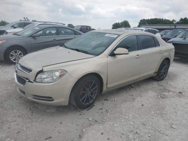 1G1ZH57BX94211158 - 2009 CHEVROLET MALIBU 1LT 金色 照片 1