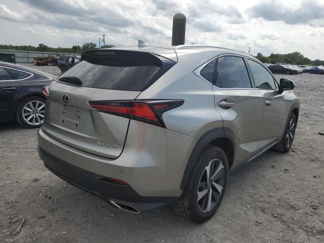 JTJYARBZ2K2122783 - 2019 LEXUS NX 300 BASE Արծաթագույն լուսանկար 3