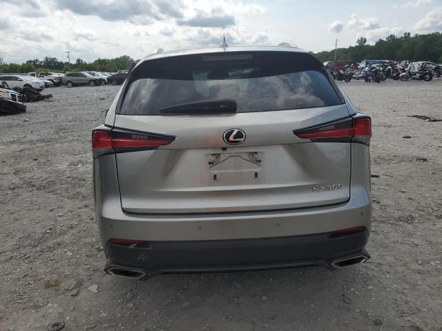 JTJYARBZ2K2122783 - 2019 LEXUS NX 300 BASE Արծաթագույն լուսանկար 6
