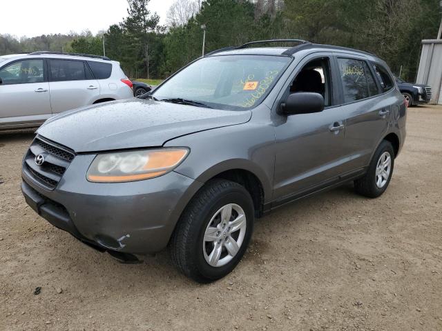 5NMSG73D99H255867 - 2009 HYUNDAI SANTA FE GLS GRAY photo 1