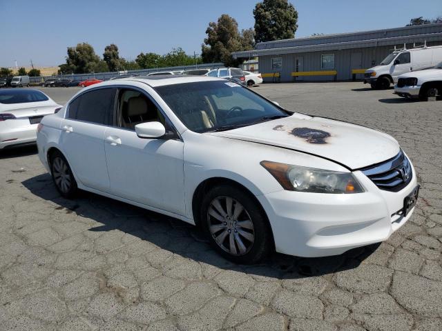 1HGCP2F84BA125664 - 2011 HONDA ACCORD EXL თეთრი ფოტო 4