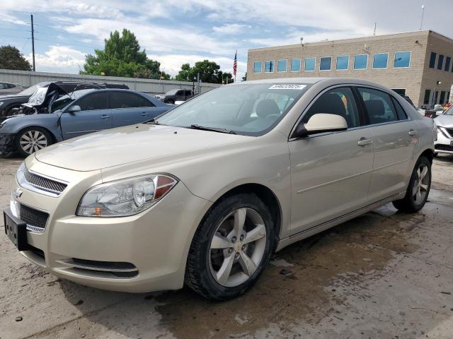 1G1ZC5EU0BF275478 - 2011 CHEVROLET MALIBU 1LT TAN photo 1