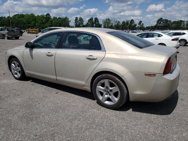 1G1ZH57B994108281 - 2009 CHEVROLET MALIBU 1LT GOLD photo 2