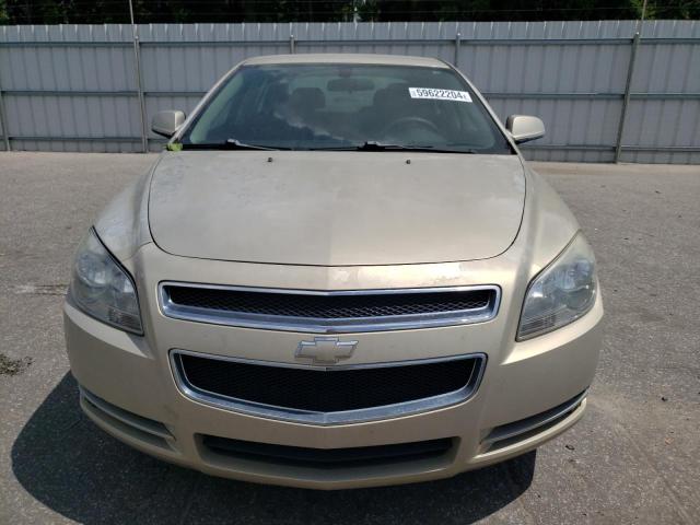 1G1ZH57B994108281 - 2009 CHEVROLET MALIBU 1LT 金色 照片 5