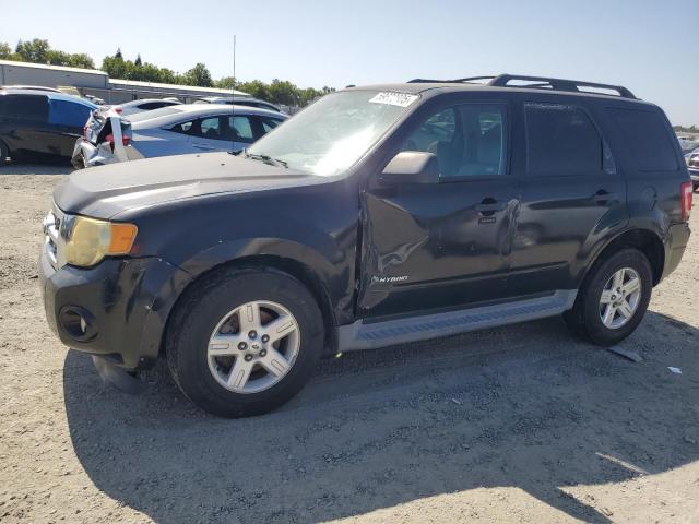 2010 FORD ESCAPE HYBRID, null