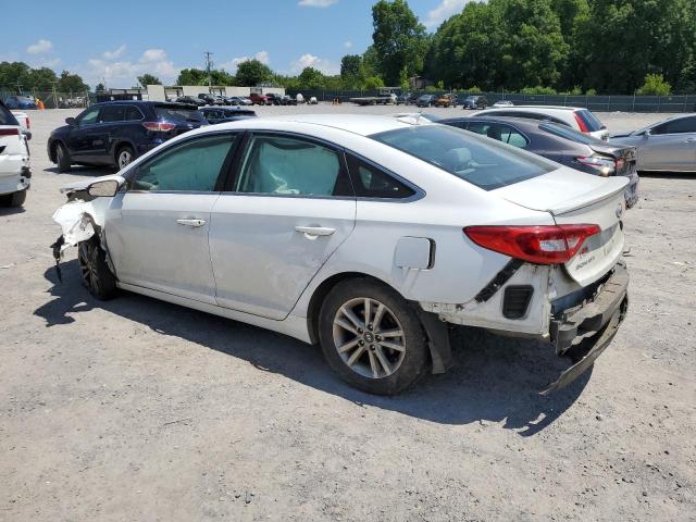 5NPE24AF5FH245625 - 2015 HYUNDAI SONATA SE WHITE photo 2