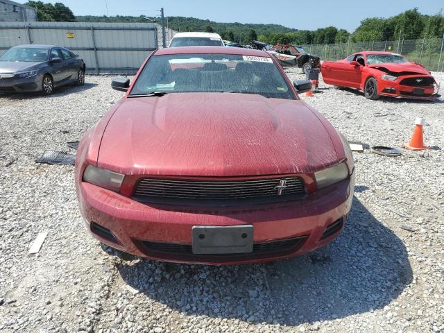 1ZVBP8AN8A5152882 - 2010 FORD MUSTANG BURGUNDY photo 5