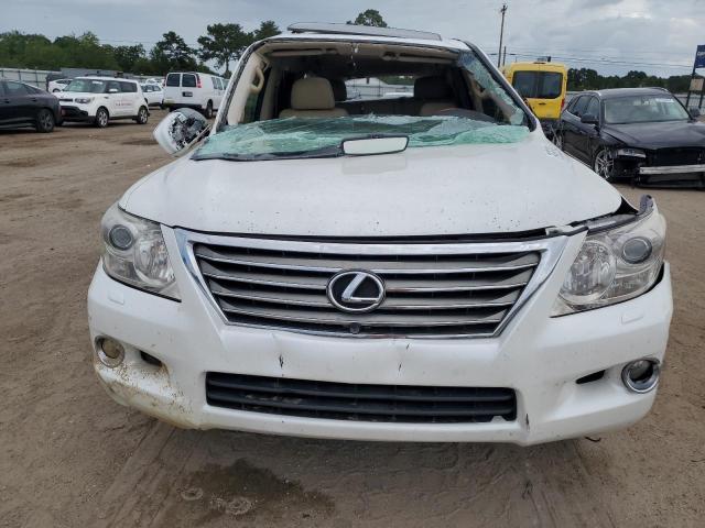 JTJHY7AX3B4068866 - 2011 LEXUS LX 570 WHITE photo 5