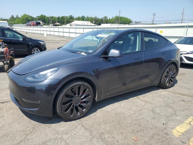 2024 TESLA MODEL Y, null