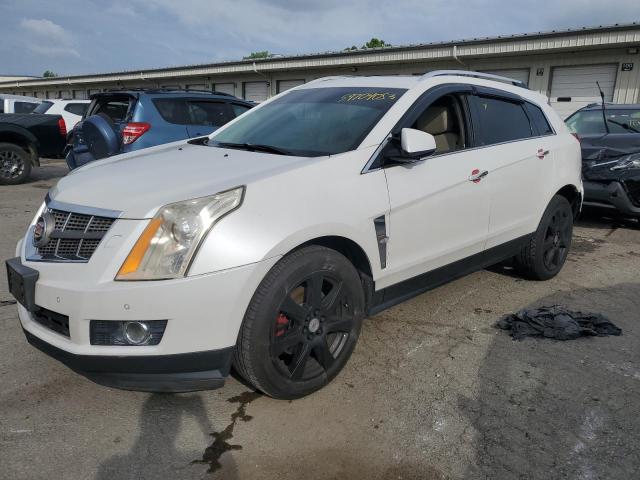 3GYFNEEY3AS557044 - 2010 CADILLAC SRX PERFORMANCE COLLECTION Ақ фото 1