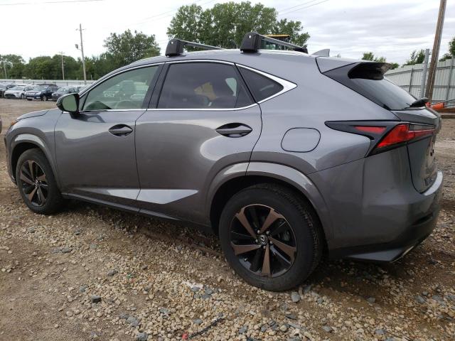 JTJGARDZ0L2226862 - 2020 LEXUS NX 300 SILVER photo 2