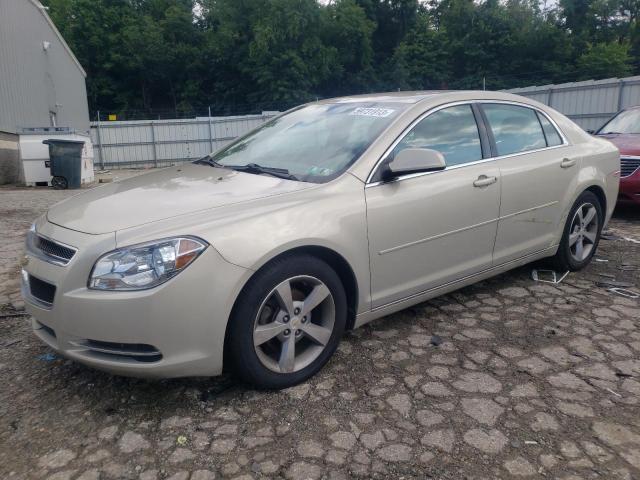 1G1ZC5E10BF317900 - 2011 CHEVROLET MALIBU 1LT BEIGE photo 1