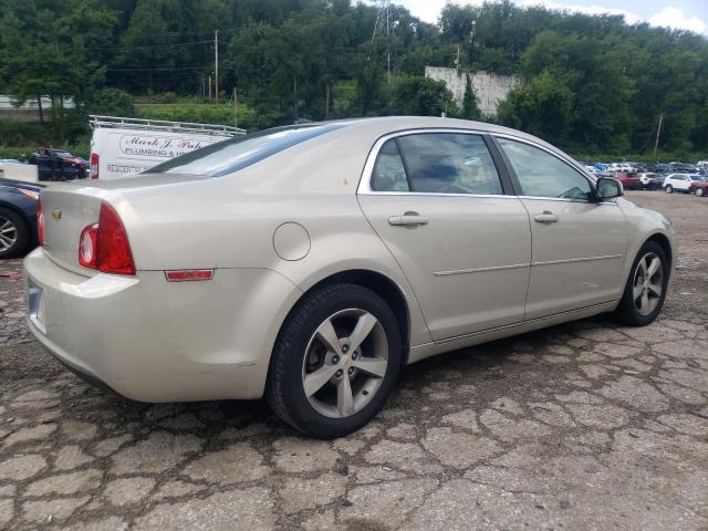 1G1ZC5E10BF317900 - 2011 CHEVROLET MALIBU 1LT BEIGE photo 3