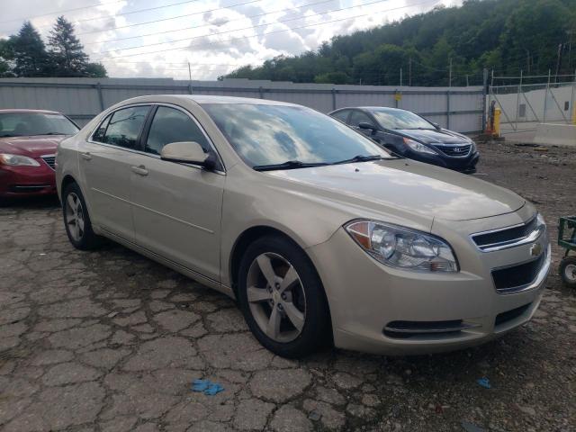 1G1ZC5E10BF317900 - 2011 CHEVROLET MALIBU 1LT BEIGE photo 4