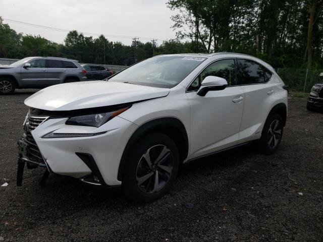 JTJGJRDZ8L2141784 - 2020 LEXUS NX 300H WHITE photo 1