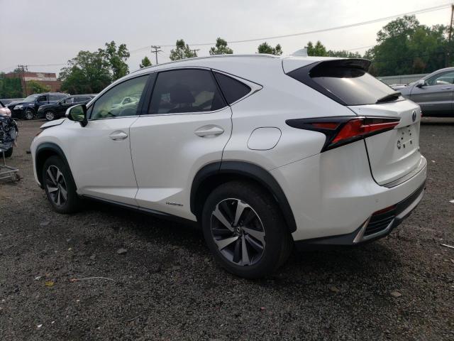 JTJGJRDZ8L2141784 - 2020 LEXUS NX 300H WHITE photo 2