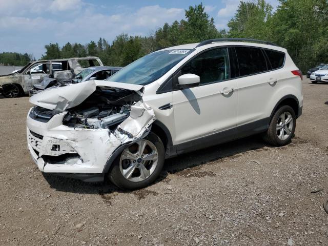 2014 FORD ESCAPE SE, 