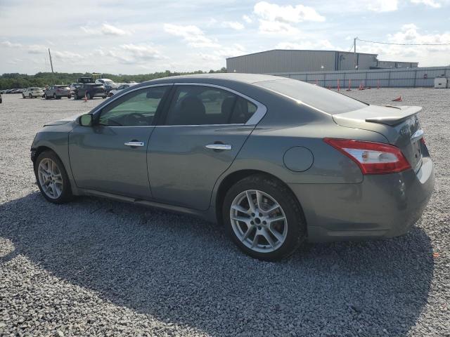 1N4AA5AP5AC817402 - 2010 NISSAN MAXIMA S GRAY photo 2