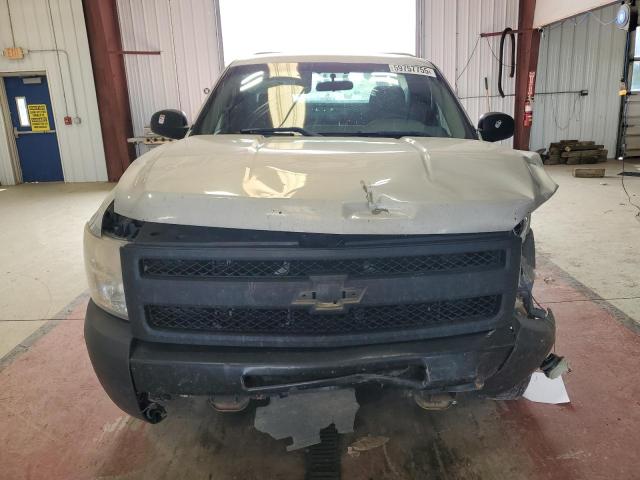 1GCPCPEAXAZ289837 - 2010 CHEVROLET SILVERADO C1500 GRAY photo 5