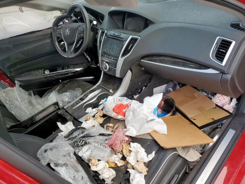 19UUB2F41KA003425 - 2019 ACURA TLX TECHNOLOGY RED photo 8