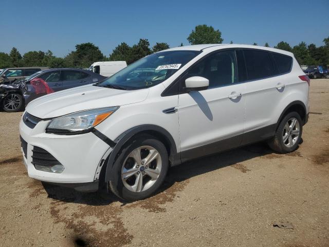 2014 FORD ESCAPE SE, null