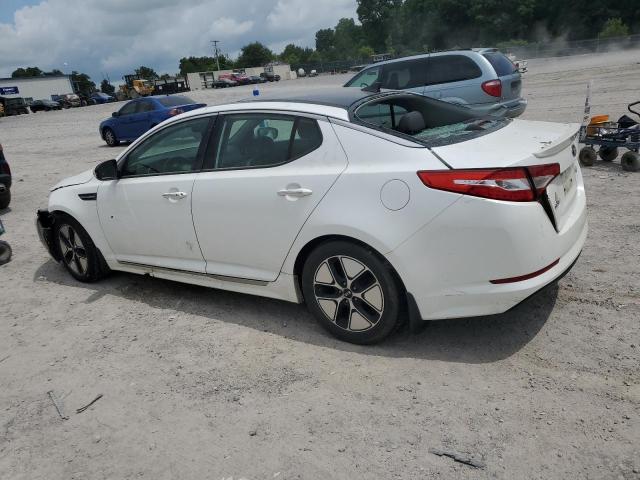 KNAGM4AD4C5032305 - 2012 KIA OPTIMA HYBRID WHITE photo 2