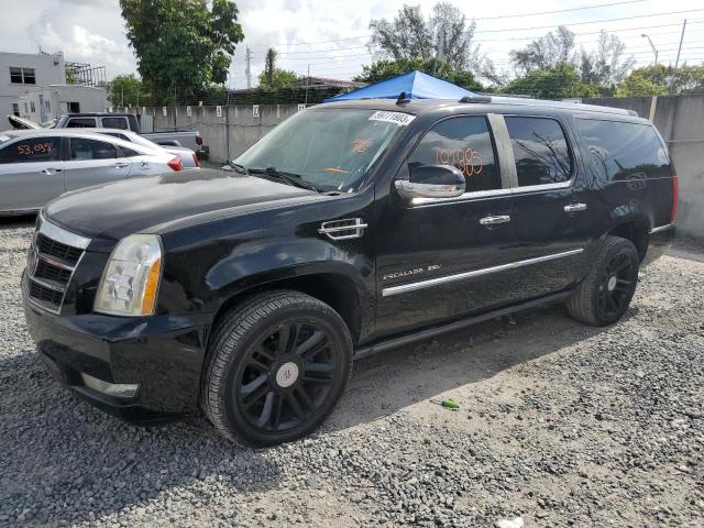 1GYS3KEFXBR119403 - 2011 CADILLAC ESCALADE ESV PLATINUM შავი ფოტო 1