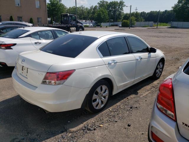 1HGCP36818A010910 - 2008 HONDA ACCORD EXL WHITE photo 3