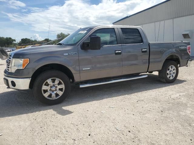 1FTFW1ET9CFC73831 - 2012 FORD F150 SUPERCREW GRAY photo 1