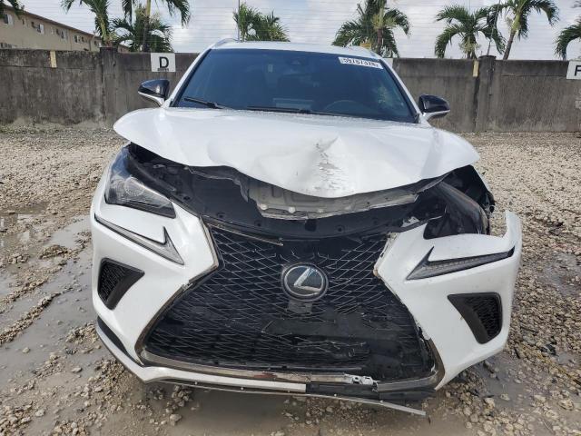 JTJYARBZ7K2152832 - 2019 LEXUS NX 300 BASE 白色 照片 5