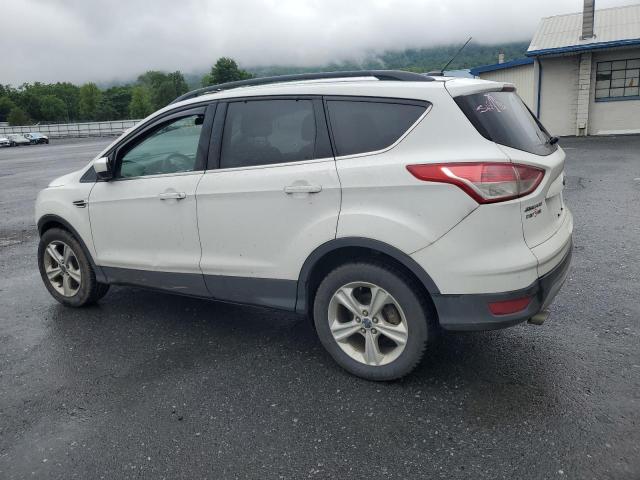 1FMCU9GX7GUB50906 - 2016 FORD ESCAPE SE 白色 照片 2