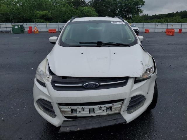 1FMCU9GX7GUB50906 - 2016 FORD ESCAPE SE 白色 照片 5